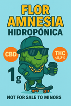 Cargar imagen en el visor de la galería, Flor Amnesia Hidropónica CBD Premium