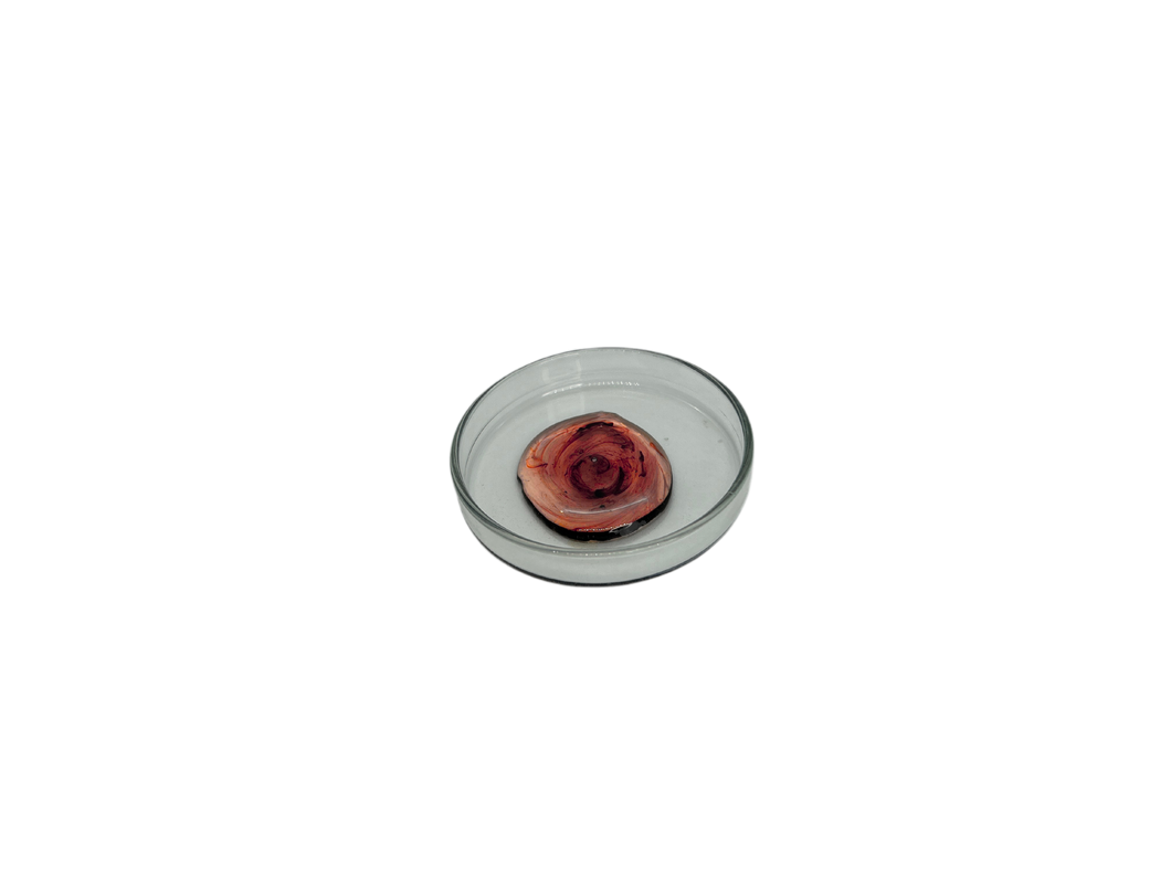 Destilado THCH Premium