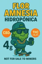 Cargar imagen en el visor de la galería, Flor Amnesia Hidropónica CBD Premium
